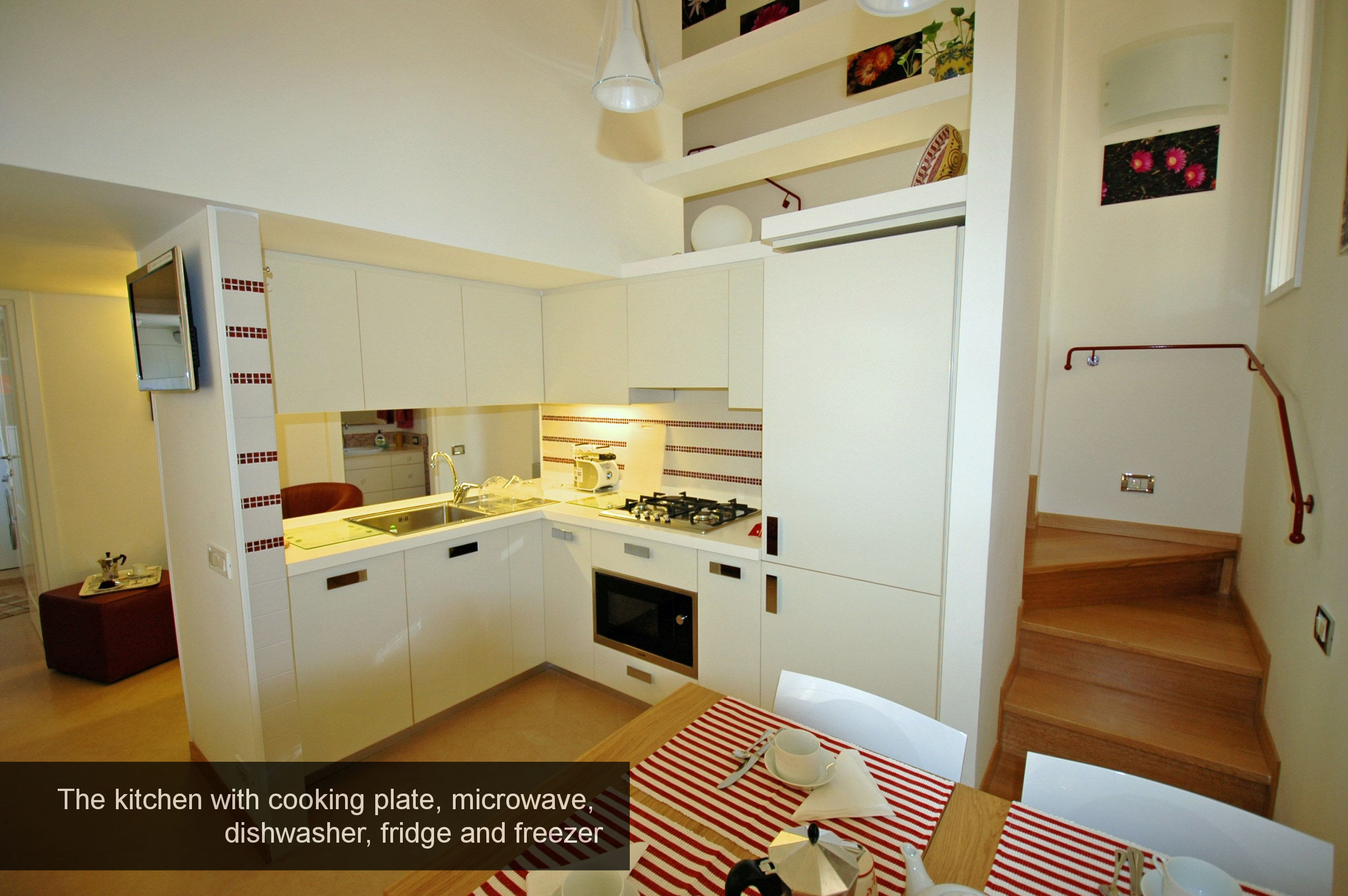 9) kitchen, cooking plate, microwave, dishwasher, fridge and freezer